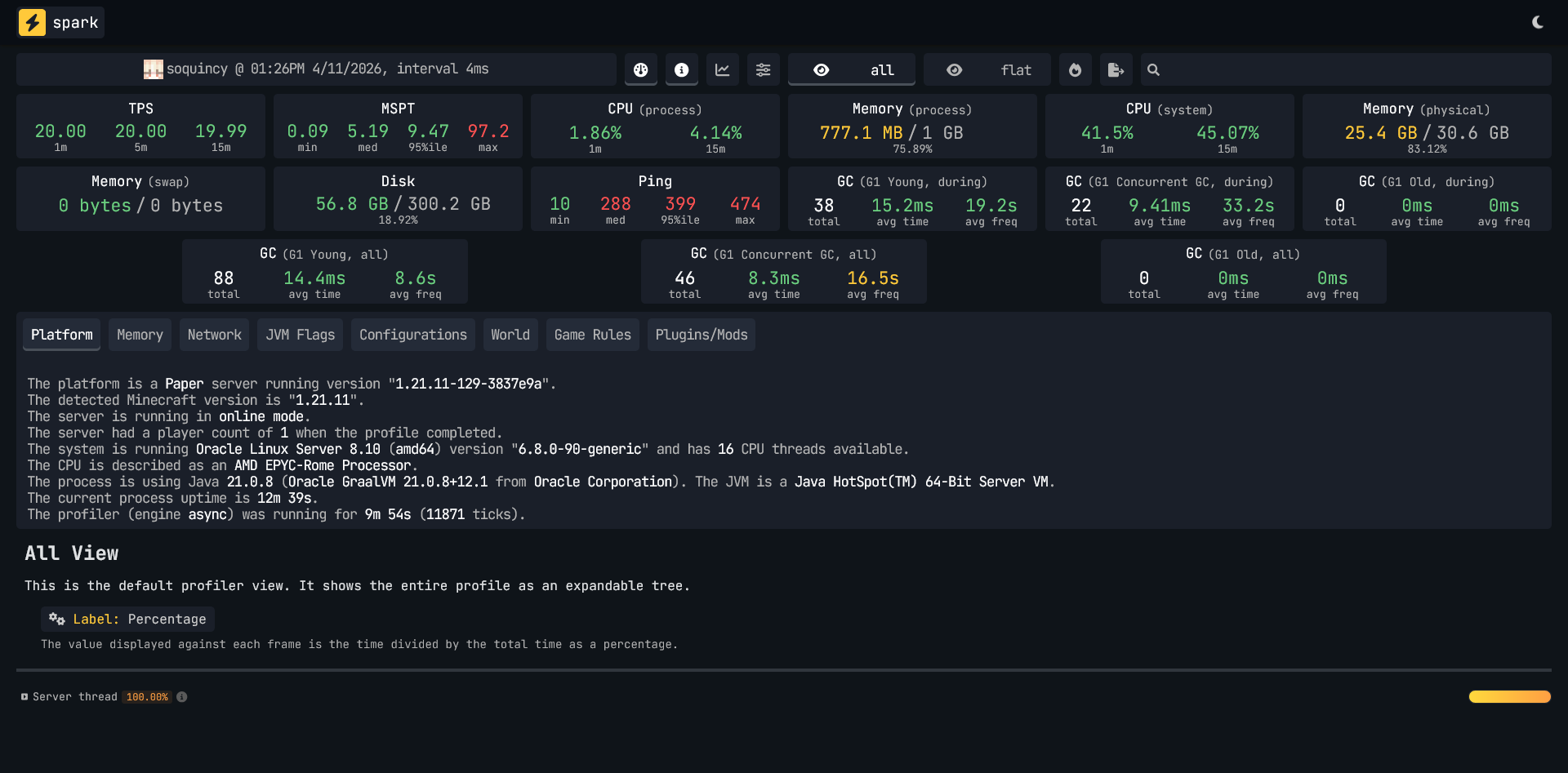 Minekeep Spark profiler data